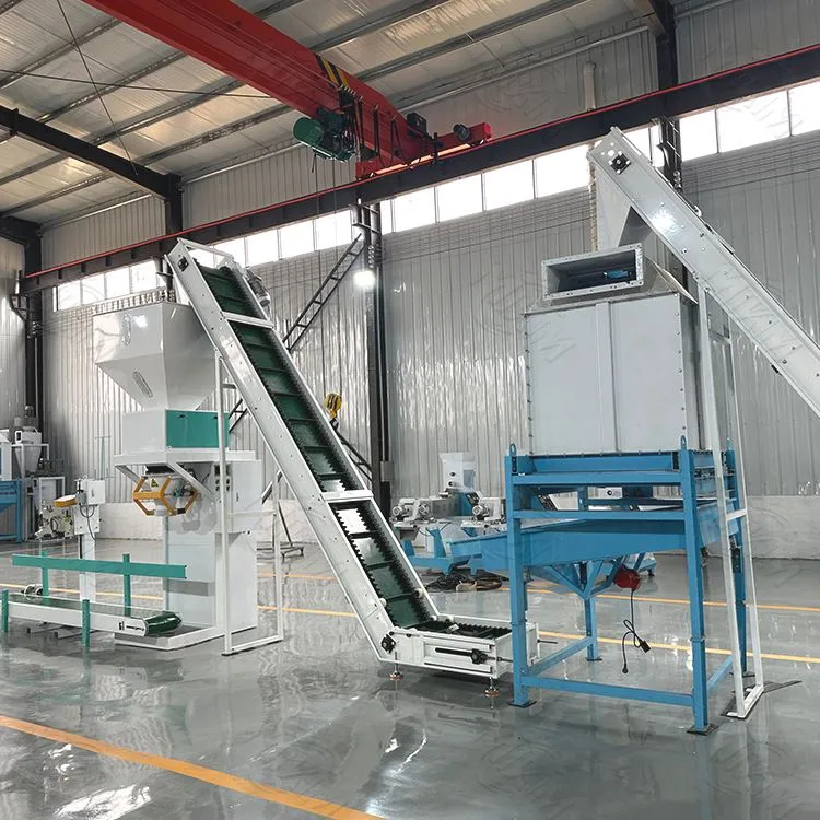 קו ייצור מזנה מודרני